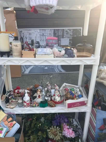 Photo of free 40 Corte Alta , Novato (Novato) #1