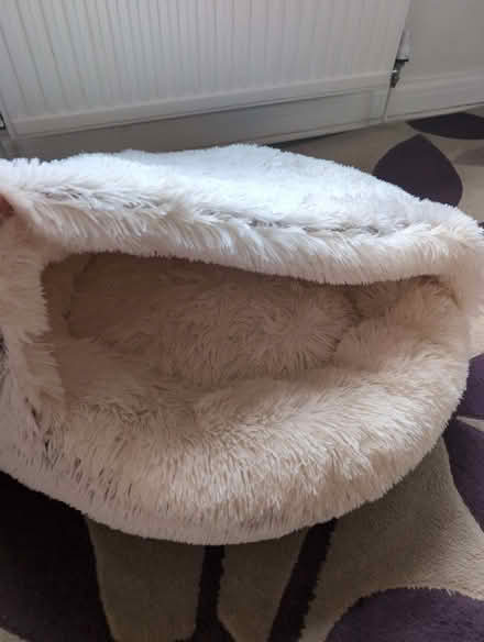 Photo of free Medium dog bed (Woodley RG5) #2