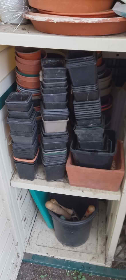 Photo of free Plastic plant pots (Frome BA11) #1