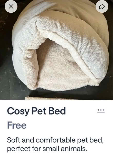 Photo of free Cozy cat bed (Upton CH2) #1