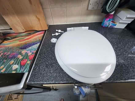 Photo of free Toilet seat, nearly new. (Wigmore HR6) #3