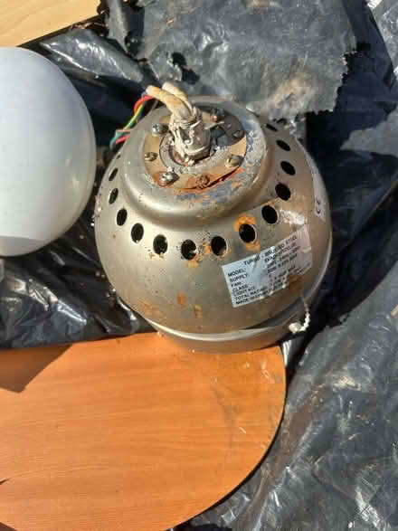 Photo of free Ceiling light with fan (Elm Park RM12) #2