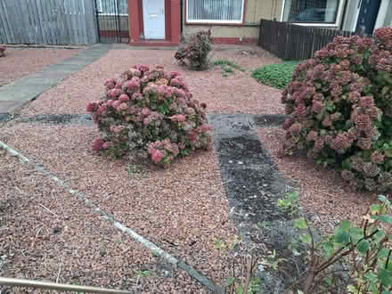 Photo of free Stone chippings (Cockenzie and Port Seton EH32) #2