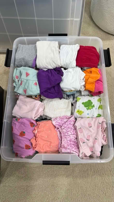 Photo of free Baby girl clothes 0-3 Mons (Silver Spring, MD) #1