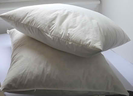 Photo of free Duck Feather filled Cushions with Mint Green Covers (Oxgangs EH13) #3