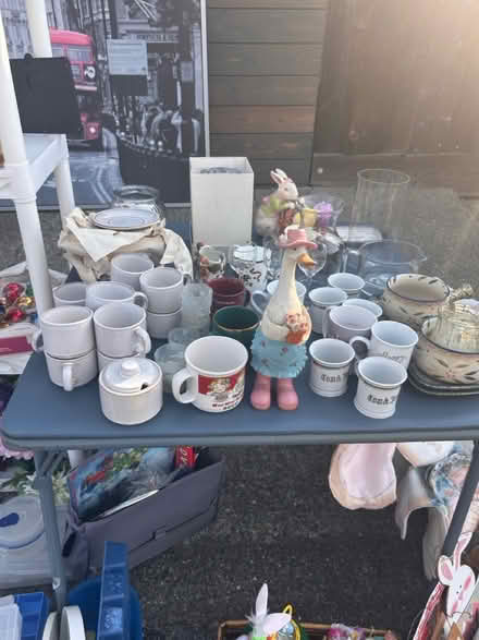 Photo of free 40 Corte Alta , Novato (Novato) #2