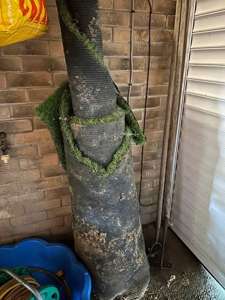 Photo of free Artificial grass (Colchester CO4) #1