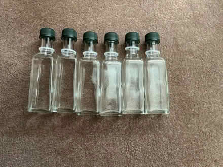 Photo of free 6 small bottles for crafting ? (Willaston CW5) #1