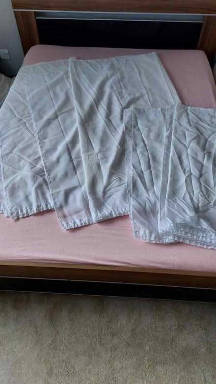 Photo of free 7 Plain net curtains (Belfast BT11) #2