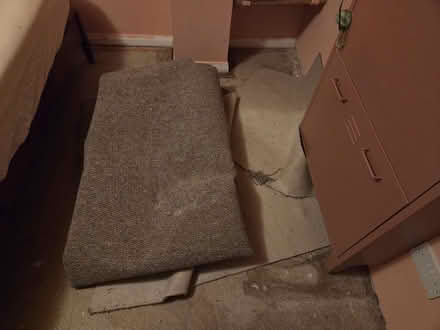 Photo of free Grey carpet offcuts (E15 1HB) #2