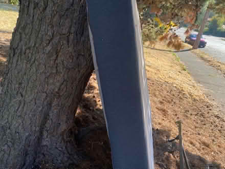 Photo of free Queen Size box springs (Corner N Richmond & Edison) #2