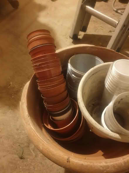Photo of free plant pots (Sandon CM2) #2