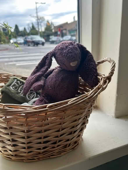 Photo of find my owner (West Seattle) #1