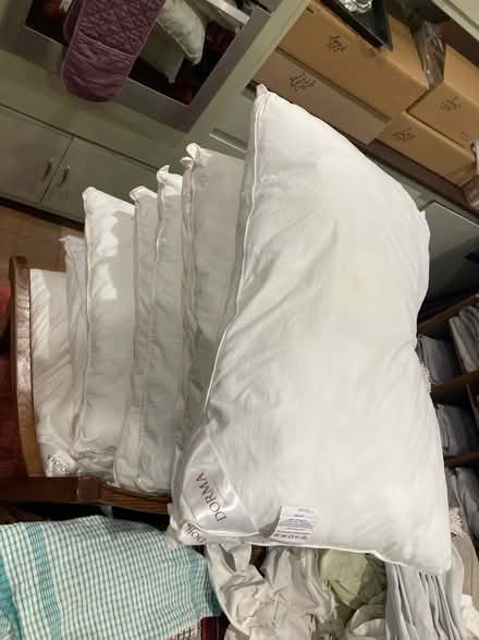 Photo of free 8 No Dorma pillows (Patterdale CA11) #1