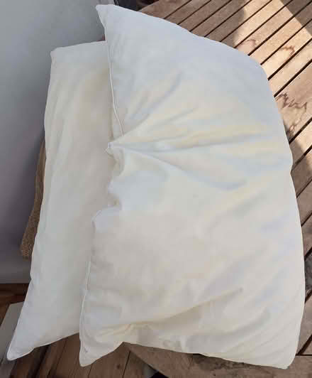 Photo of free Used bed pillows. Good for pet bedding or craft (Havant PO9) #1