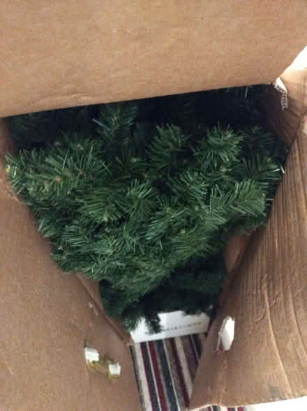 Photo of free Christmas 🎄 tree (Great Boughton CH3) #2
