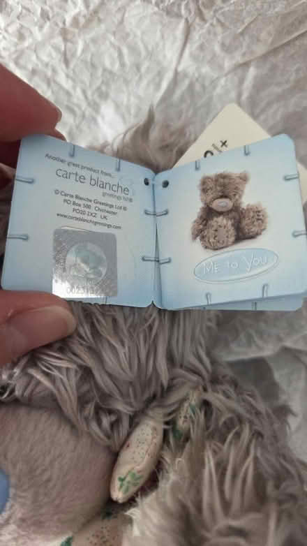 Photo of free Me to You bear (Fareham PO15) #2