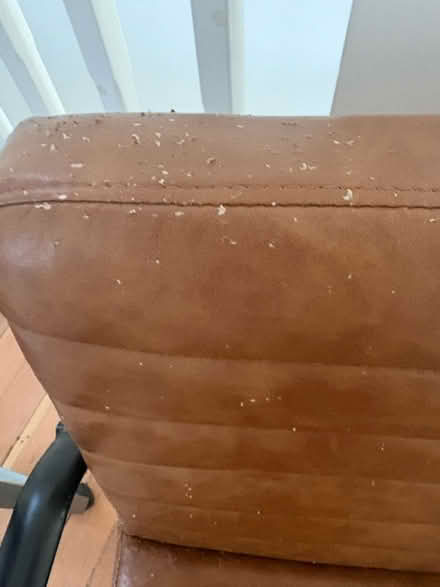 Photo of free Office chair (Mottingham SE9 4) #2