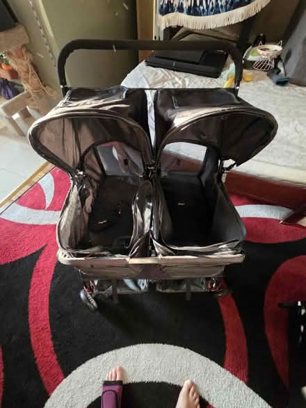 Photo of free Double cat / dog stroller (Kew Gardens) #2