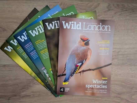 Photo of free London Wildlife Magazines (Church of the Cross SE2) #1