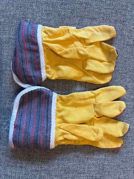Photo of free Children’s gardening gloves (Knebworth SG3) #2
