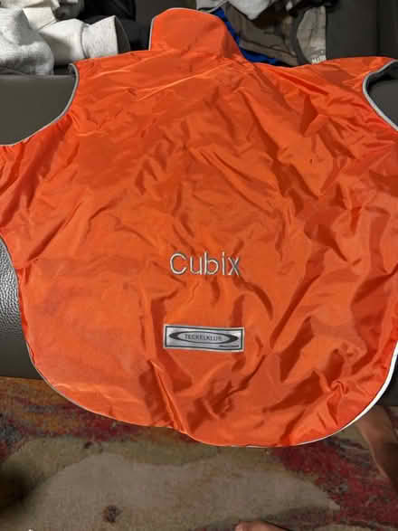 Photo of free Dog rain/snow jackets (Adams Point) #3