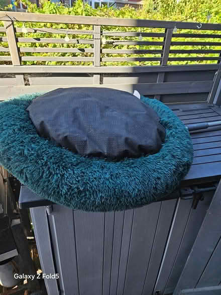 Photo of free Large dogs bed (76 spences lane lewes) #2