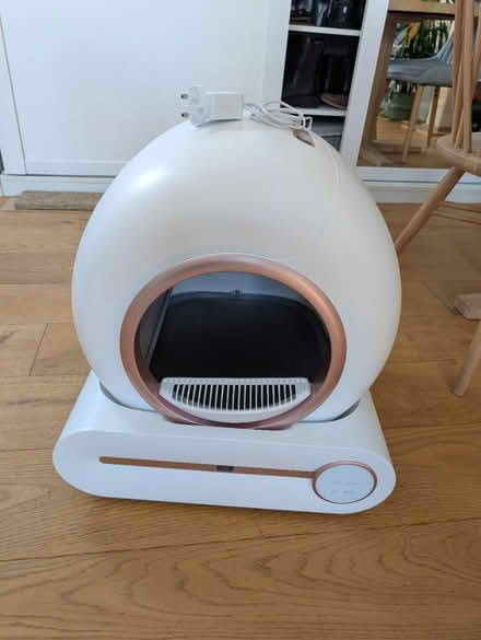 Photo of free Automatic cat litter tray (NW6 1DZ) #1