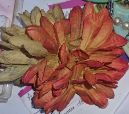 Photo of free Flower Hair Accessory (Levenshulme M19) #1