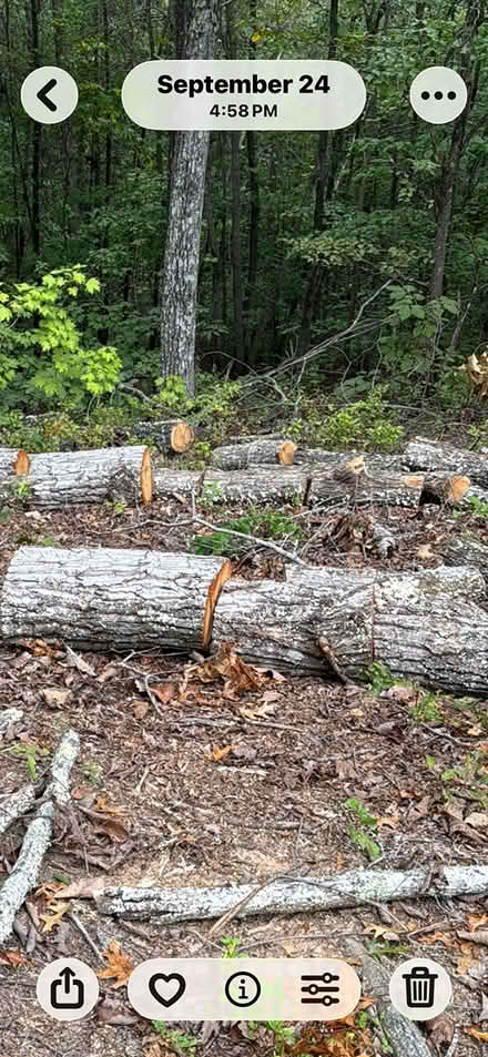 Photo of free Red Oak Firewood logs (Dahlonega) #2