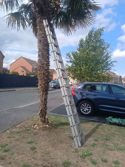Photo of free Aluminium ladder (Spalding PE11) #2