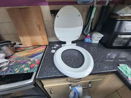 Photo of free Toilet seat, nearly new. (Wigmore HR6) #1