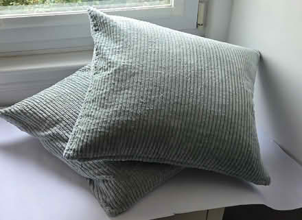 Photo of free Duck Feather filled Cushions with Mint Green Covers (Oxgangs EH13) #2