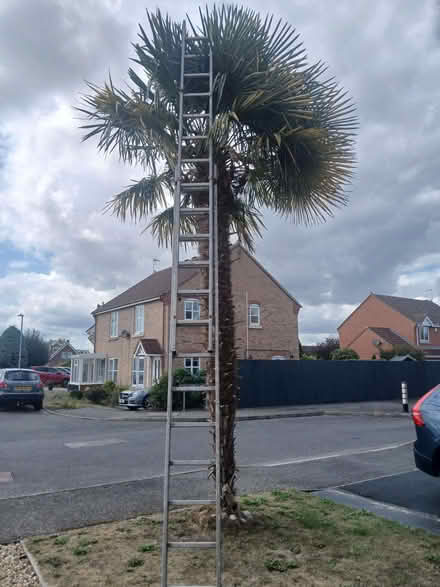Photo of free Aluminium ladder (Spalding PE11) #1