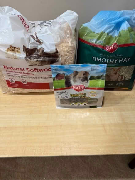 Photo of free Guinea pig cage and supplies (Bowie) #2