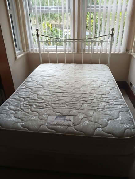 Photo of free Double bed (Beccles NR34) #1