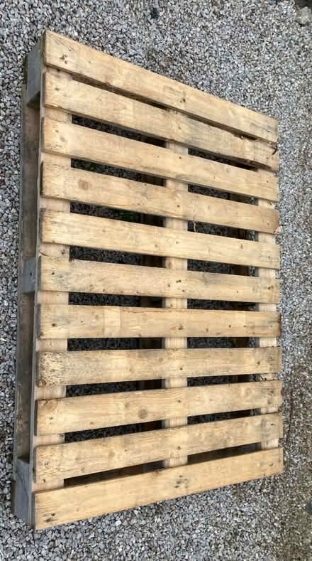 Photo of free Wooden pallet (Shap CA10) #1