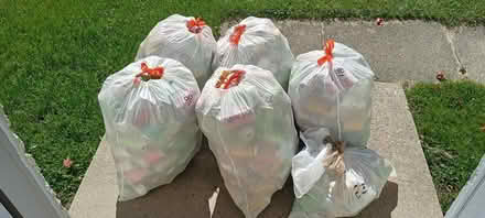 Photo of free 5 bags Returnables Kirkland brand (Ypsilanti) #1