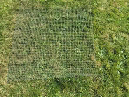 Photo of free Plastic coated chicken wire (Cannon Park CV4) #1