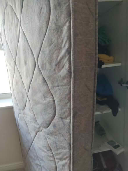 Photo of free Single mattress (Bn31wq) #3