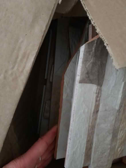 Photo of free Box of broken tiles (Sandylands morecambe LA3) #2
