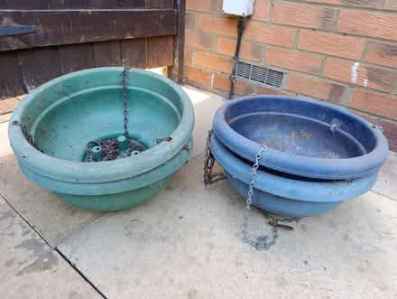 Photo of free Hanging Baskets (Dovercourt CO12) #1