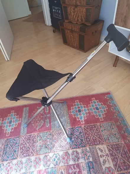 Photo of free Walking stick with seat (Aylesford ME20) #1