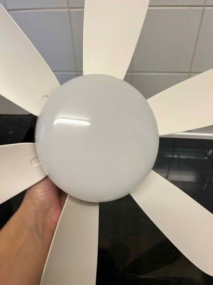 Photo of free Ceiling fan (SE12 lee) #1