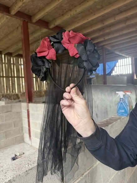 Photo of free Halloween veil (Keighley BD22) #1