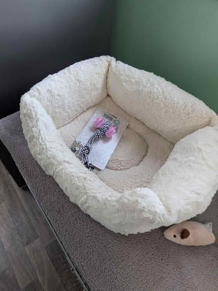 Photo of free Small dog/cat bed (Nr PO20) #1