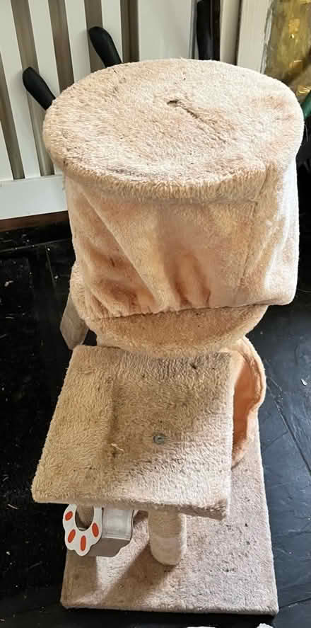 Photo of free Cat tree (Upton CH2) #3
