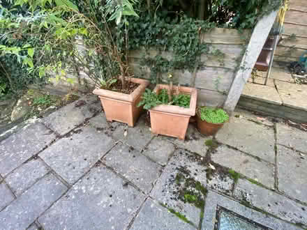 Photo of free Plant pots/bins (Offerton SK1) #2