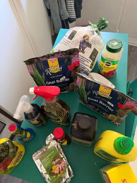 Photo of free Plant and garden supplies (Highbury N7) #1