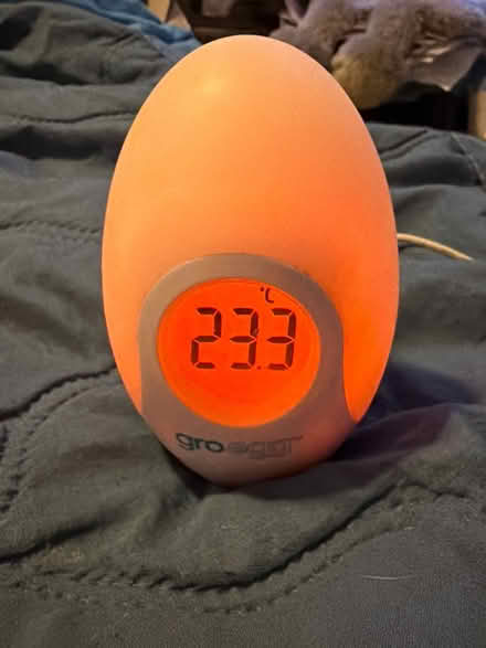 Photo of free Grow egg - thermometer (Chessington KT9) #1